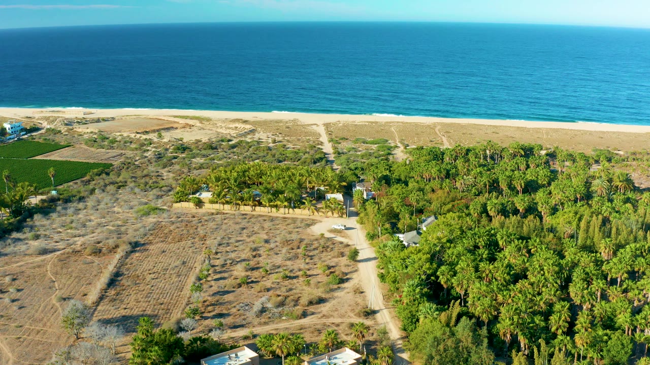 Aerial coastline view with turquoise water, beach, dry fields, dirt road, and tree canopy.