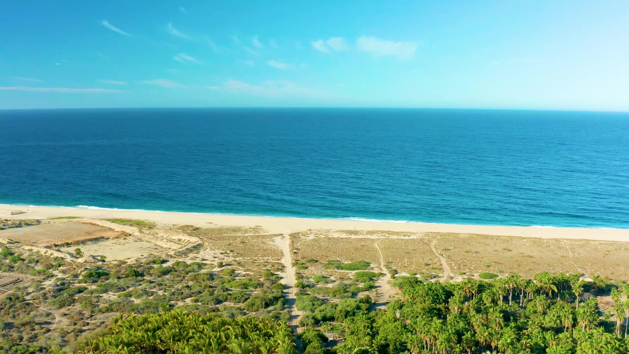 Aerial frame from Todos Santos showing calm blue ocean, a narrow white surf line, pale beach, sandy dune tracks, green trees in the foreground, and no visible people.