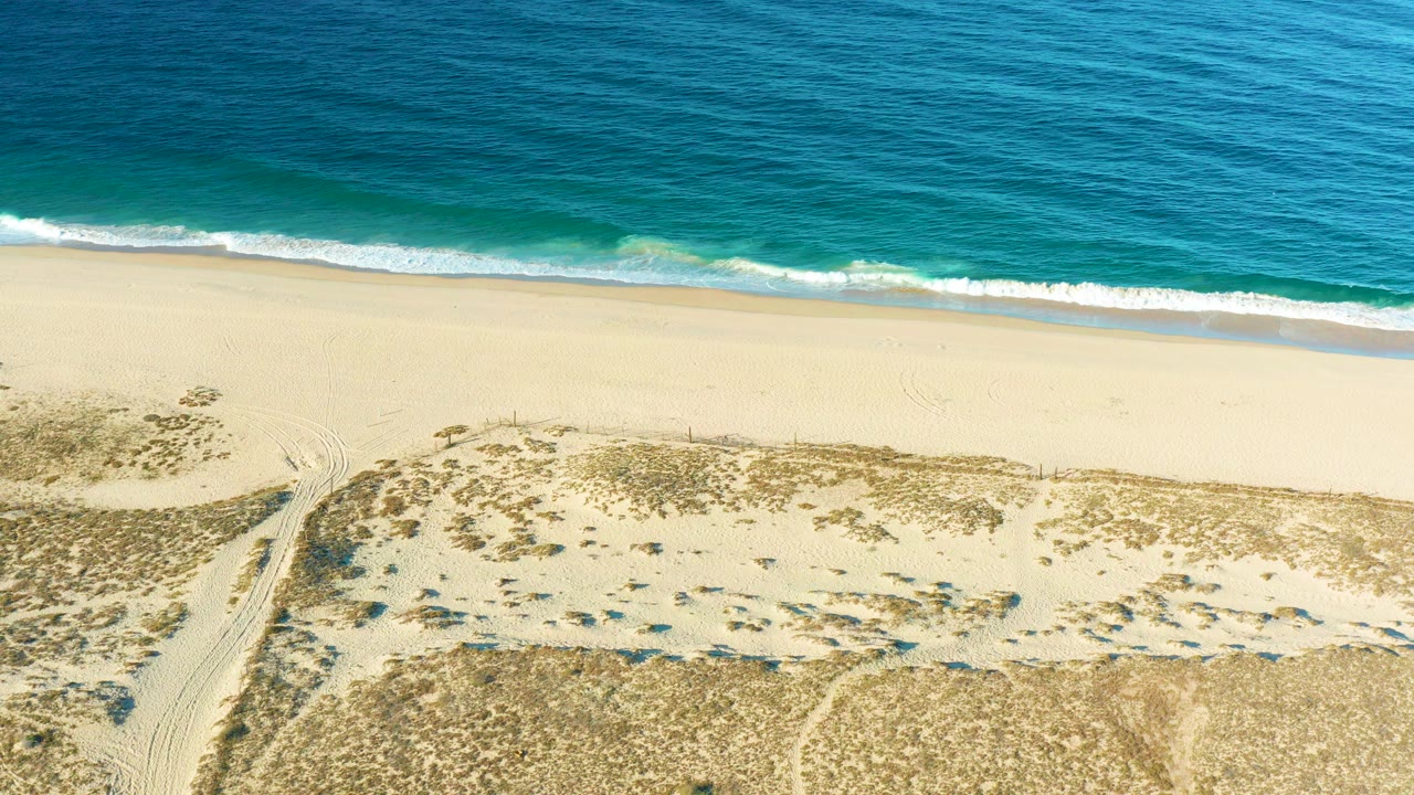 Aerial view of the Todos Santos shoreline with deep blue ocean above a narrow white surf line, pale sand, dune grass, and no visible people.