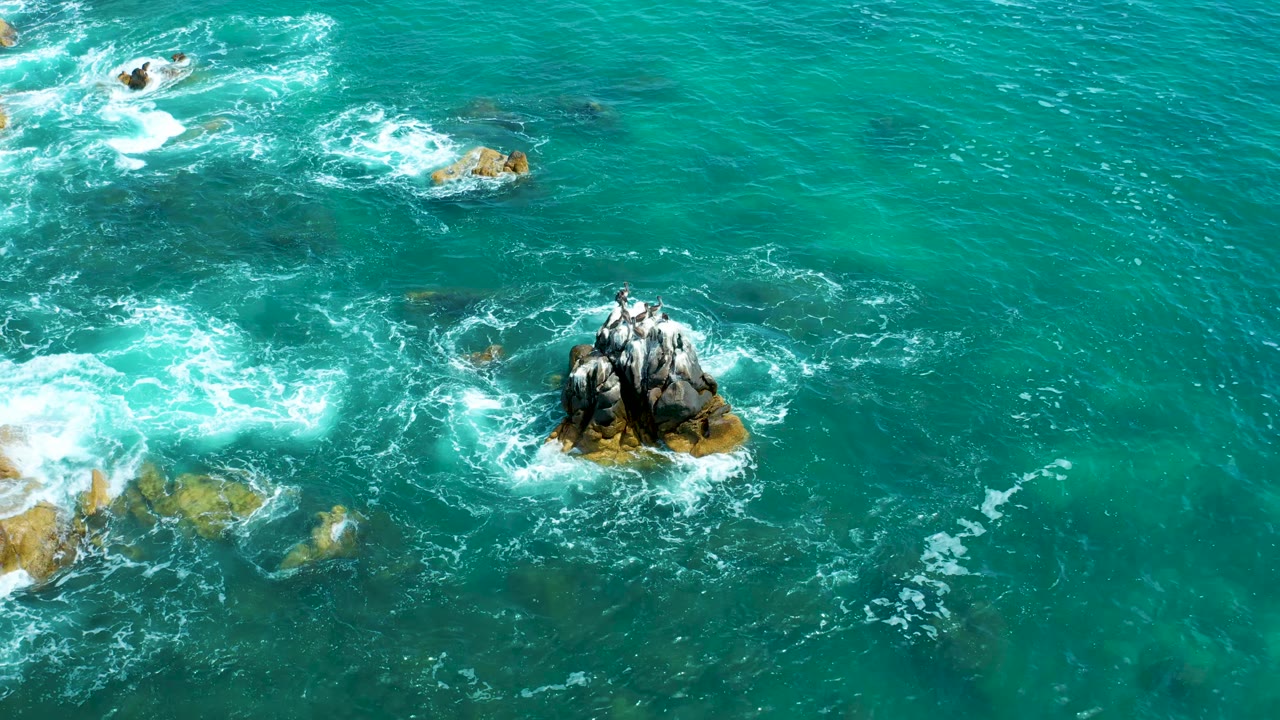 Aerial frame from Marquis Los Cabos, Mexico, showing a dense group of seabirds on the central rock while white foam curls around nearby brown rocks, no visible people.