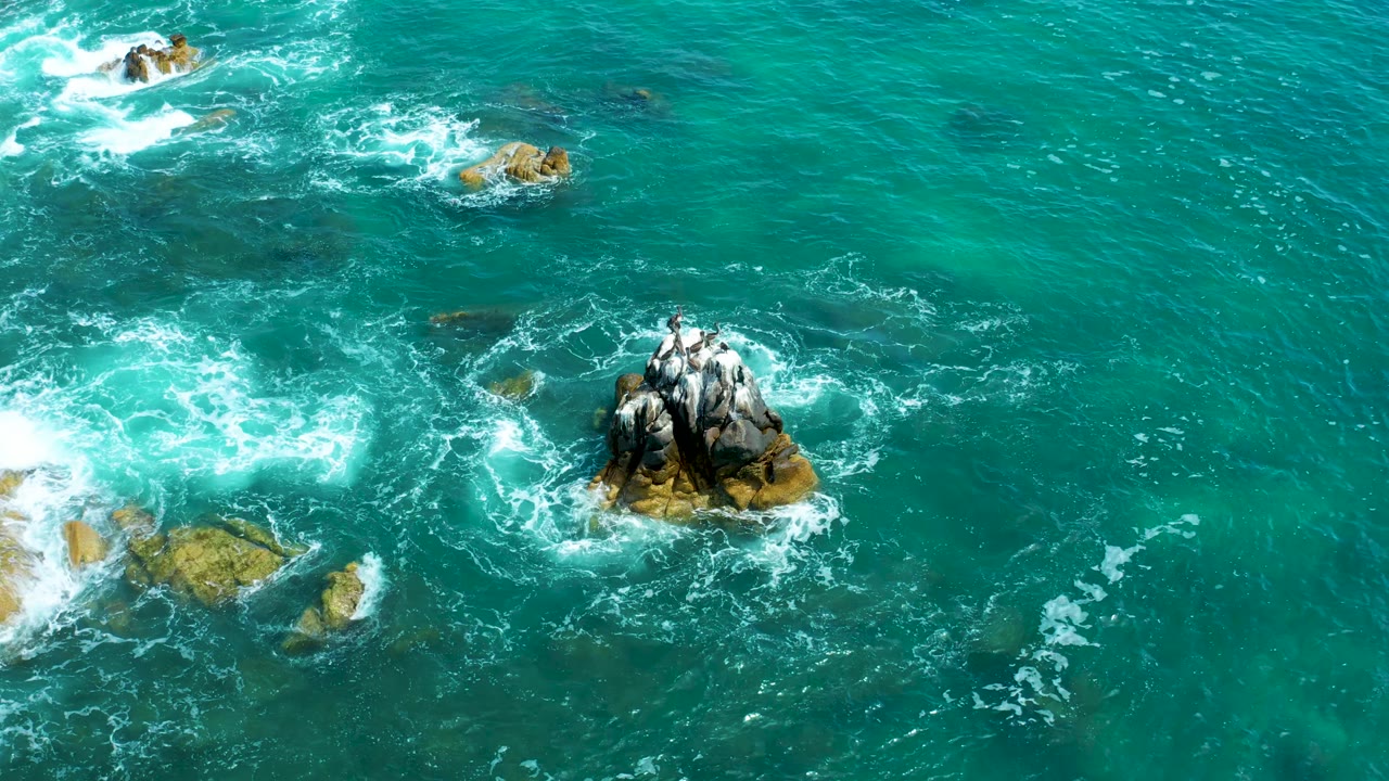 High aerial view at Marquis Los Cabos, Mexico, with the seabird-covered outcrop slightly right of center, foamy water to the left, and clear green-blue ocean around it, no visible people.