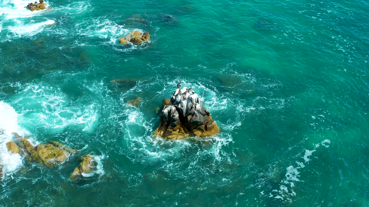 Aerial frame from Marquis Los Cabos, Mexico, where seabirds cover the lower-right rock outcrop as white foam spreads across the left side of the turquoise water, no visible people.