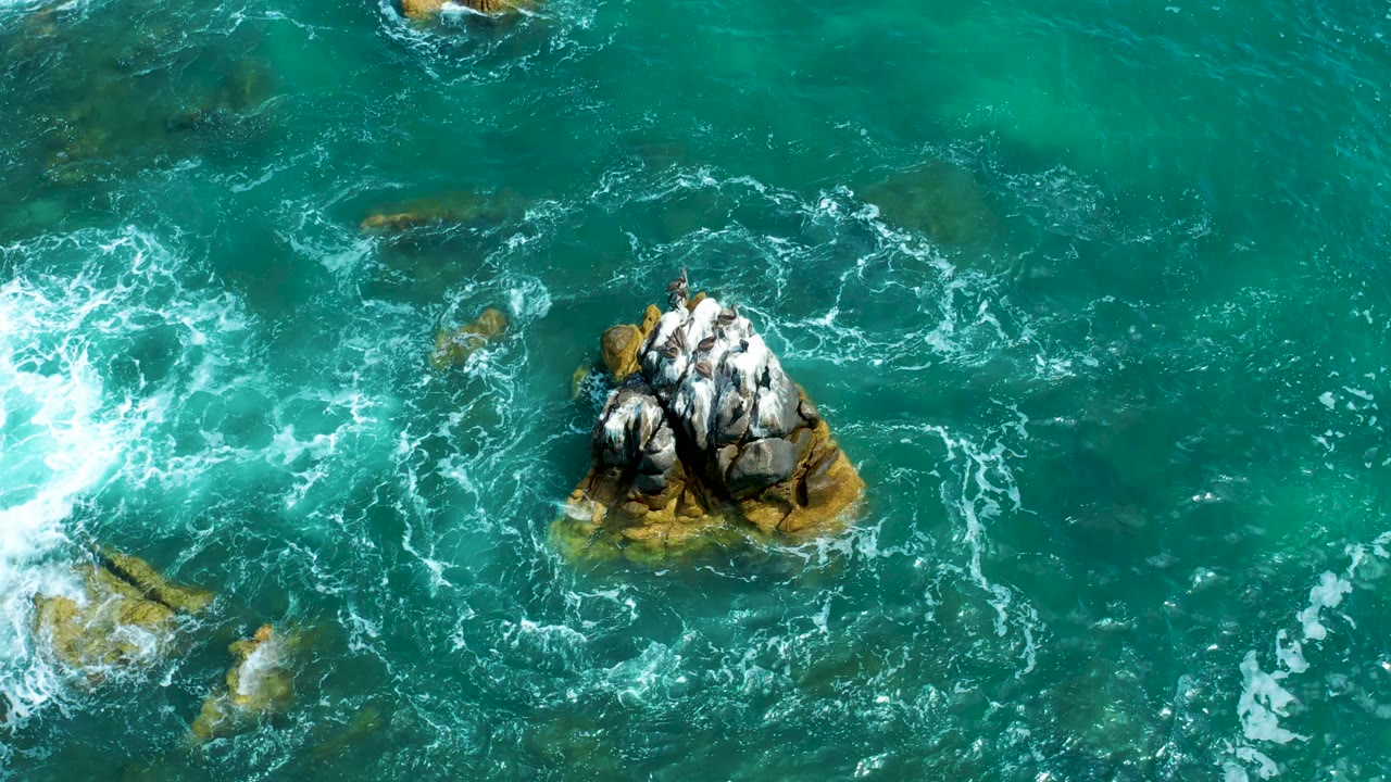 Overhead drone view of seabirds clustered on a small rocky outcrop in the turquoise Pacific off Marquis Los Cabos, Mexico; white-capped waves ring the rock and no people are visible.