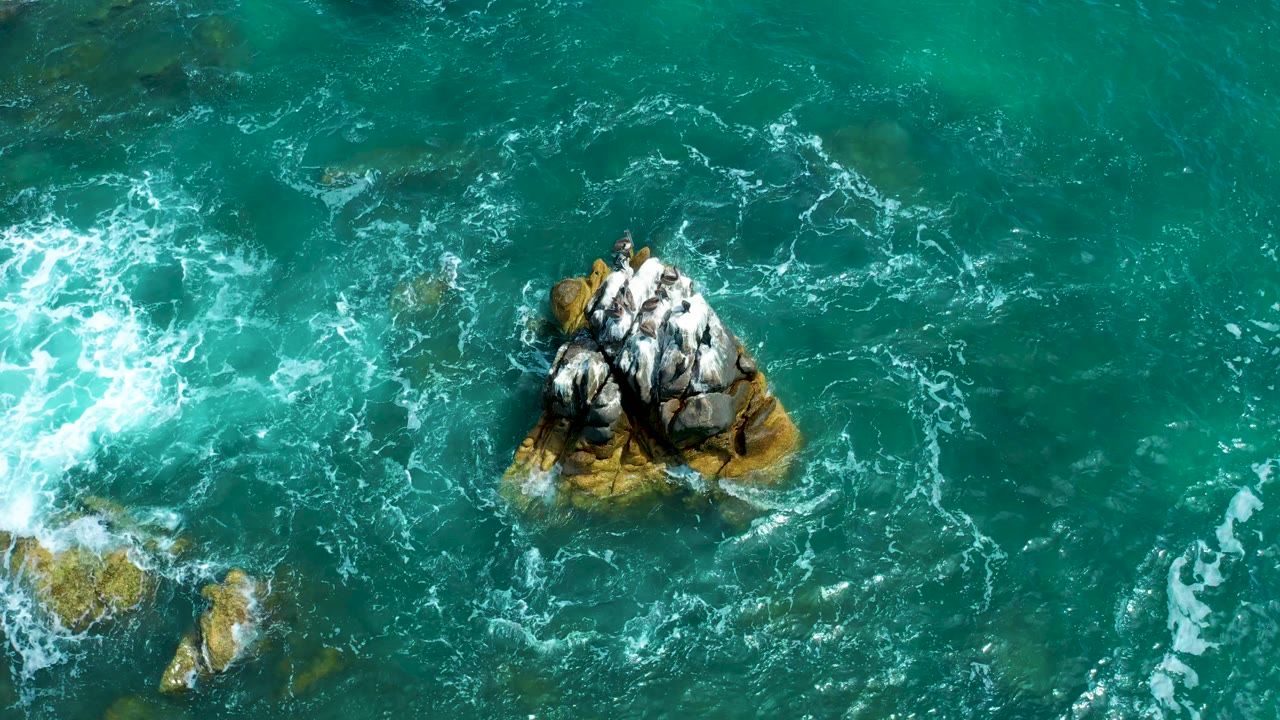 Overhead aerial view of seabirds perched on a rocky outcrop in vivid teal-green Pacific water near Marquis Los Cabos, Mexico, with white foam breaking around the rock base; no people visible.