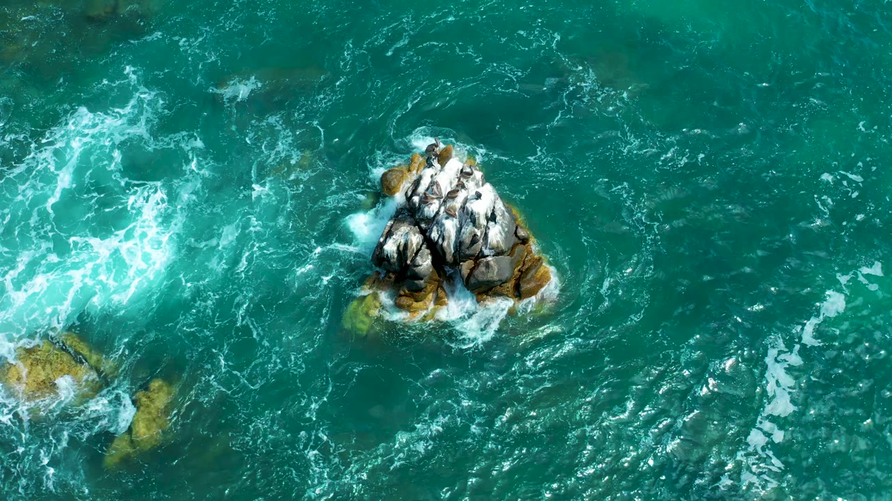 Aerial frame at Marquis Los Cabos, Mexico showing the bird-covered rock slightly right of center while foam spreads across submerged rocks to the left, with no visible people.