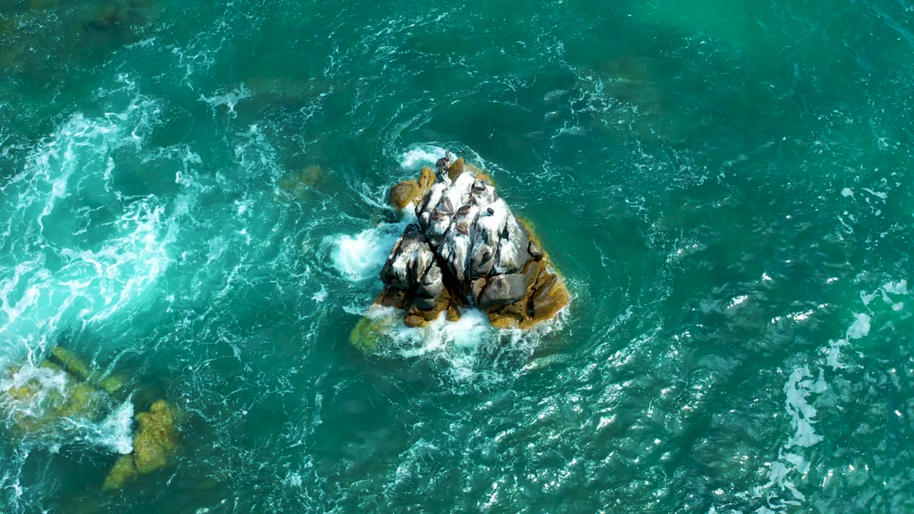 Overhead Marquis Los Cabos, Mexico view of seabirds packed on the bright rock as darker current lines and white foam move around the outcrop, with no visible people.