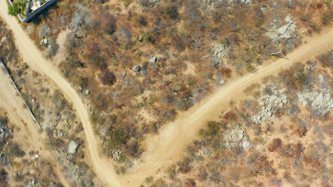 Near-vertical aerial frame over Cabo San Lucas arid land where a pale dirt path branches across brown scrub, scattered rocks, and a small building edge, with no visible people.