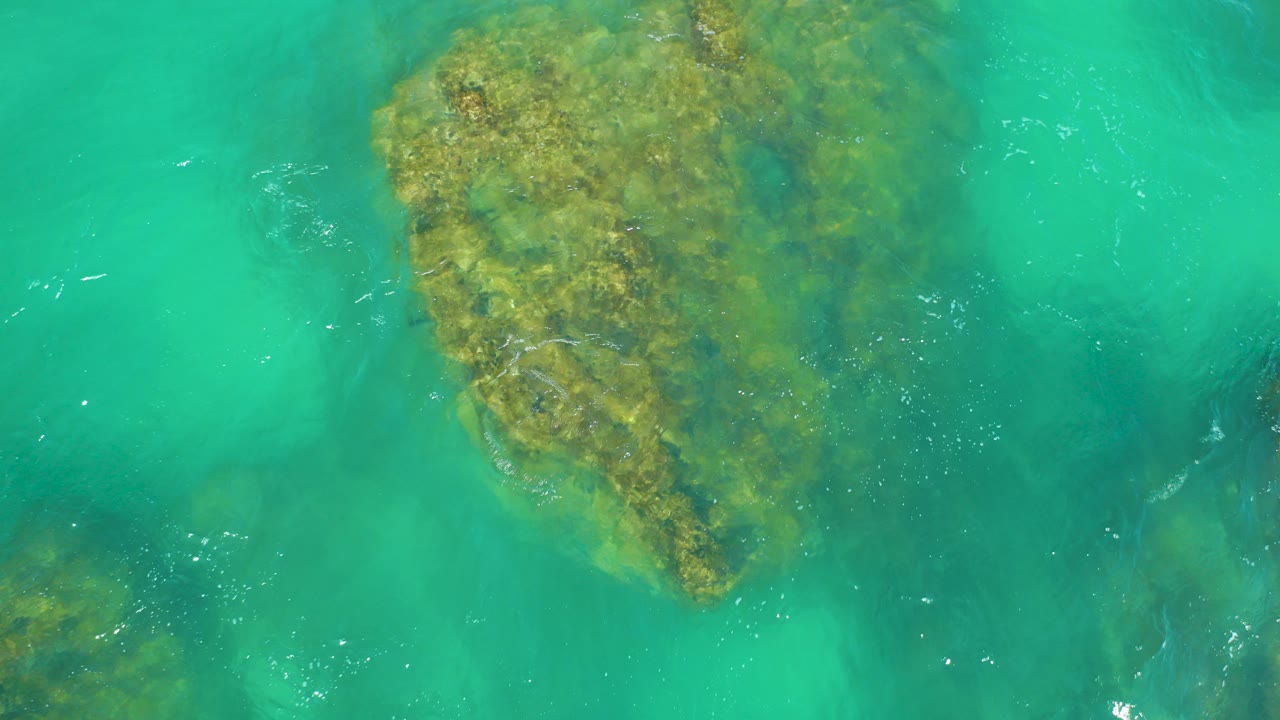 Overhead view at Dreams Los Cabos of a green-brown algae-covered rock under clear turquoise water, with small surface ripples and no visible people.