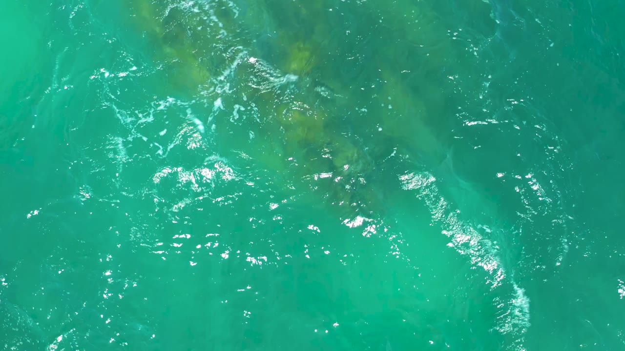 Aerial frame over Dreams Los Cabos water where brown-green kelp patches appear more clearly through turquoise ripples, with no visible people.