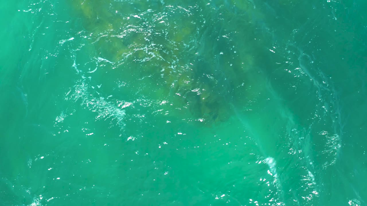 Overhead Dreams Los Cabos water frame with scattered kelp near the upper edge, bright surface sparkle, and no visible people.