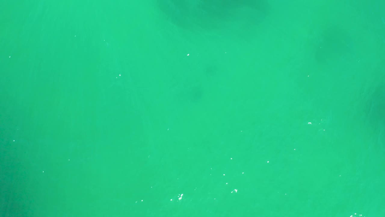 Clear green ocean water with scattered sun glints