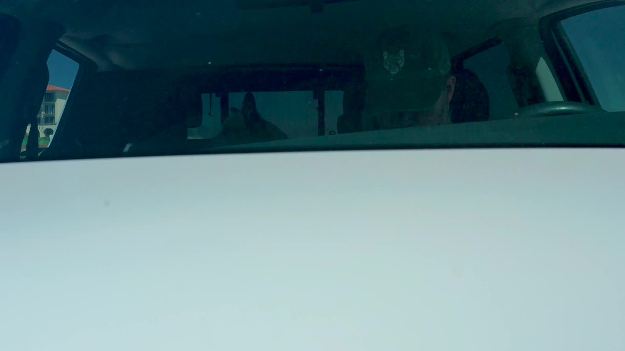 A later moment shows the driver still framed through the side window, with green-blue tint and reflections masking fine details inside the Dreams Los Cabos vehicle shot.