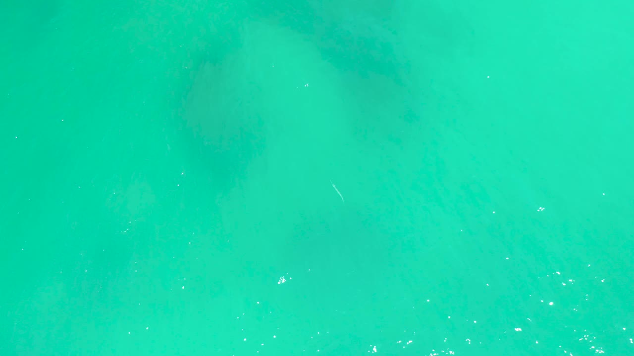 Clear turquoise water with darker underwater areas and tiny white reflections.
