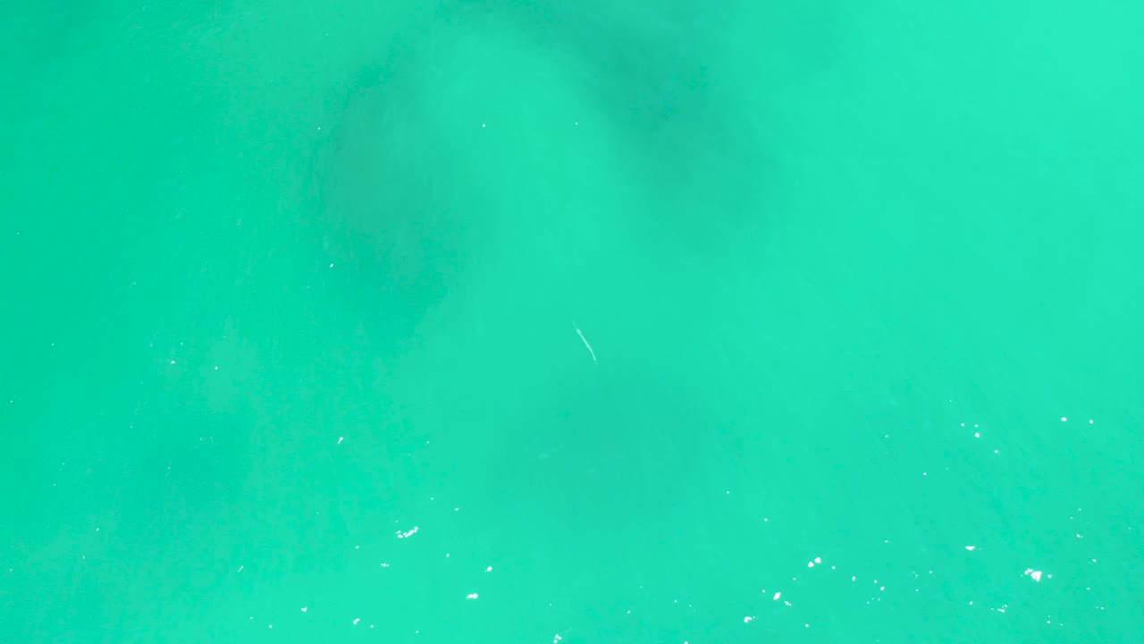 Turquoise shallow water at Dreams Los Cabos shows bright surface specks, muted seabed texture, and a small pale fish near the lower part of the frame with no visible people.