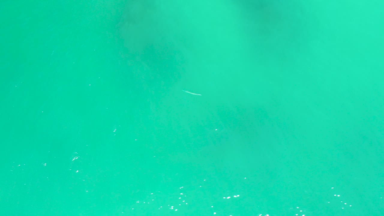 Turquoise water surface with faint fish shape below