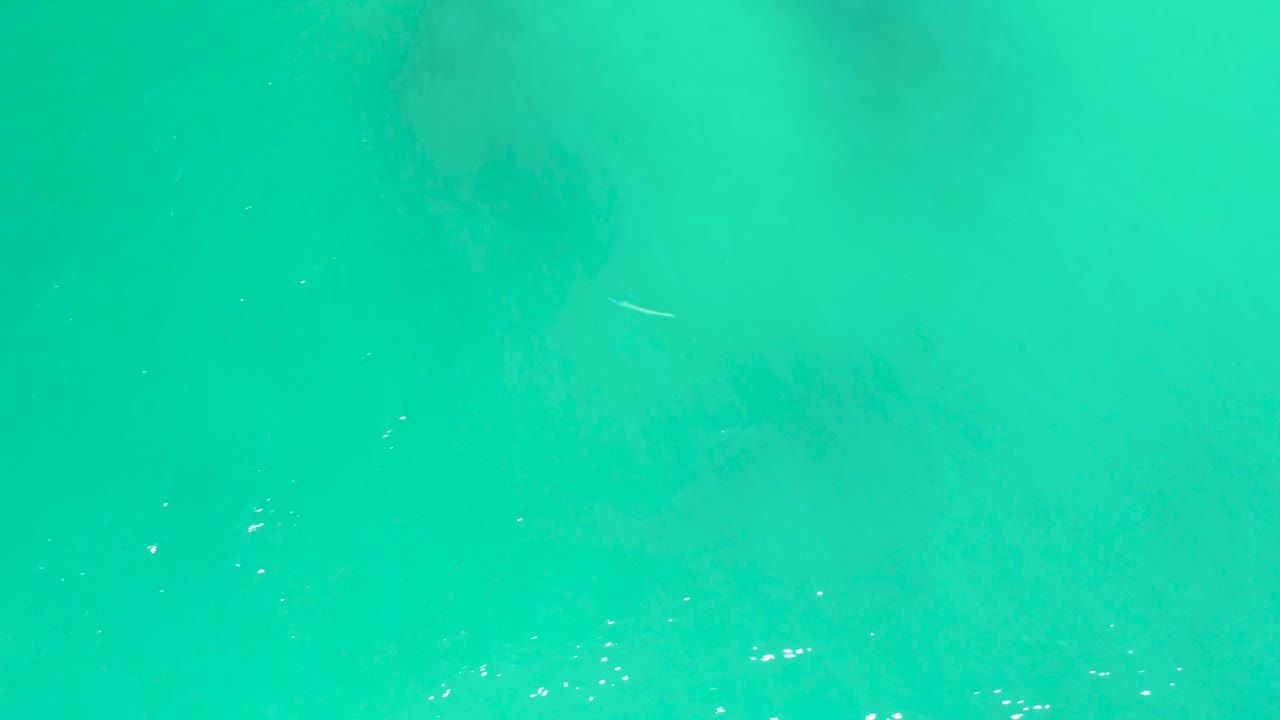 Clear turquoise water fills the Dreams Los Cabos frame, with a small bright fish-like streak under the surface and scattered reflection points, no visible people.