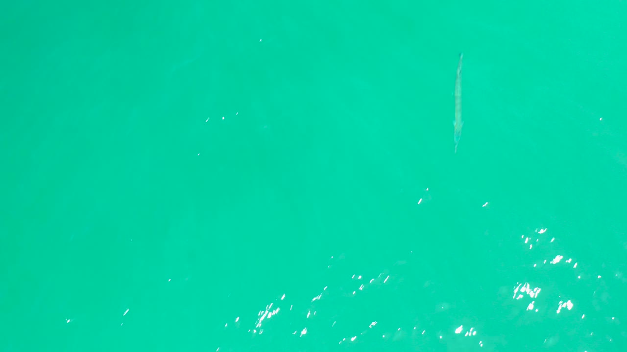 Opening frame over turquoise water at Dreams Los Cabos, Baja California Sur, with faint small fish or bubbles, bright surface reflections, and no visible people.