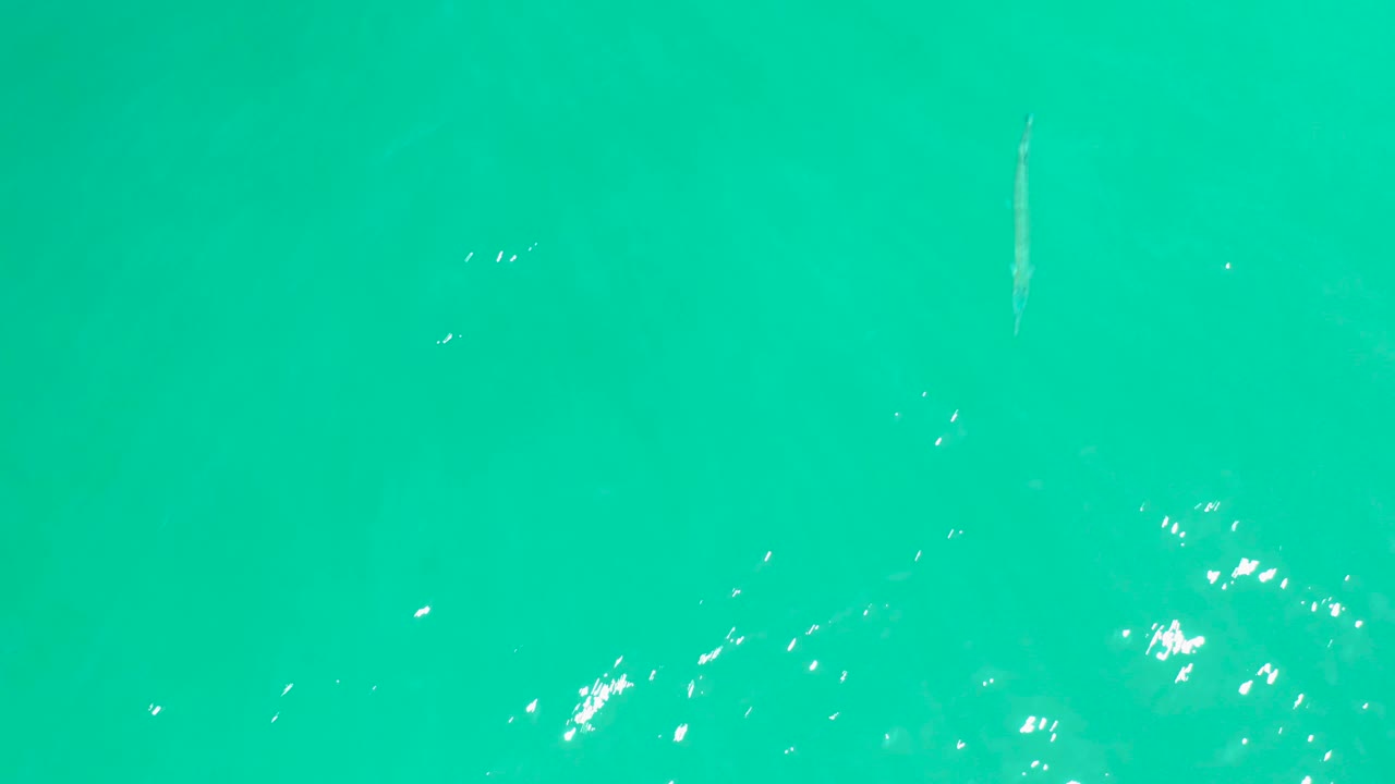 Turquoise water fills the frame at Dreams Los Cabos, with scattered light glints, faint aquatic specks, a thin pale vertical object near the left side, and no visible people.