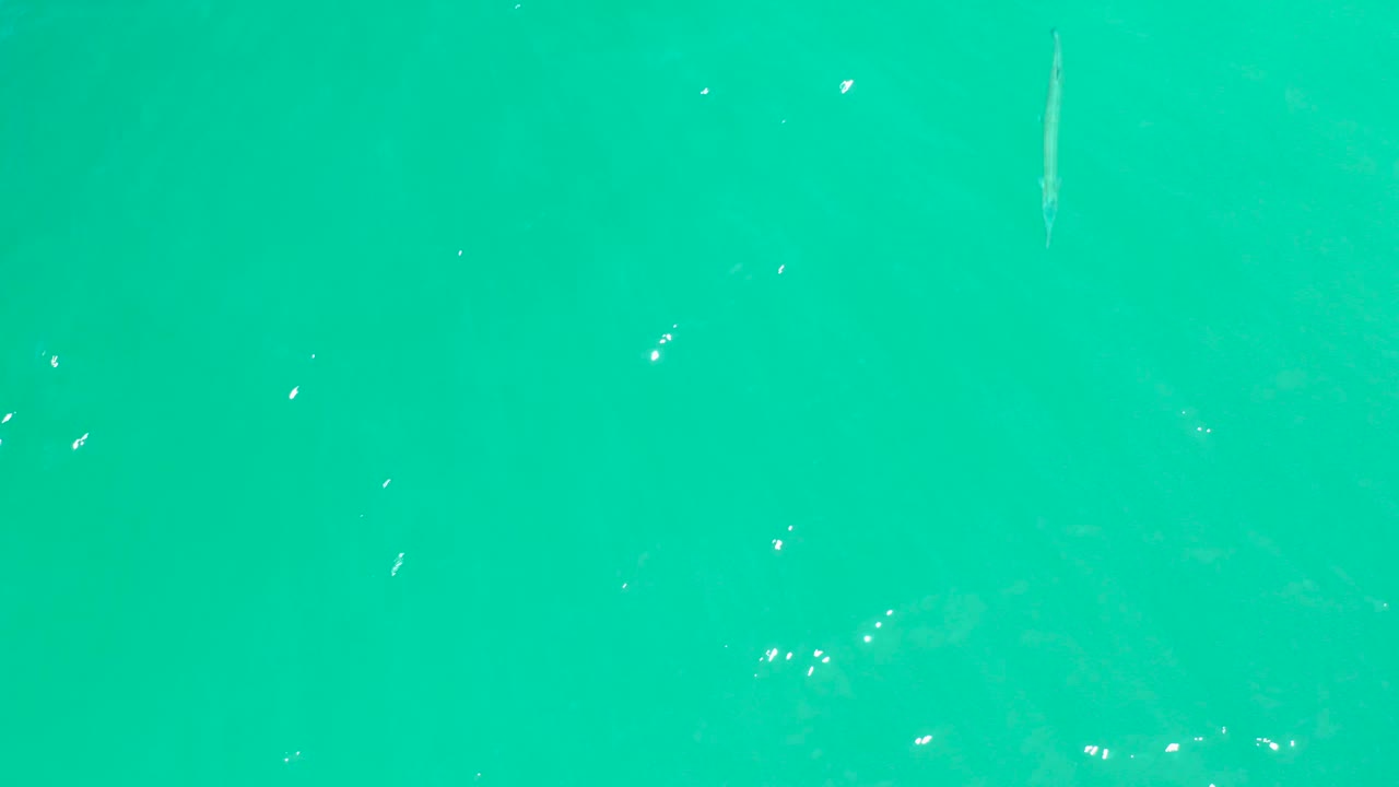 A field of clear turquoise water at Dreams Los Cabos shows small bright reflections and faint fish or bubble marks under the surface, with no visible people.