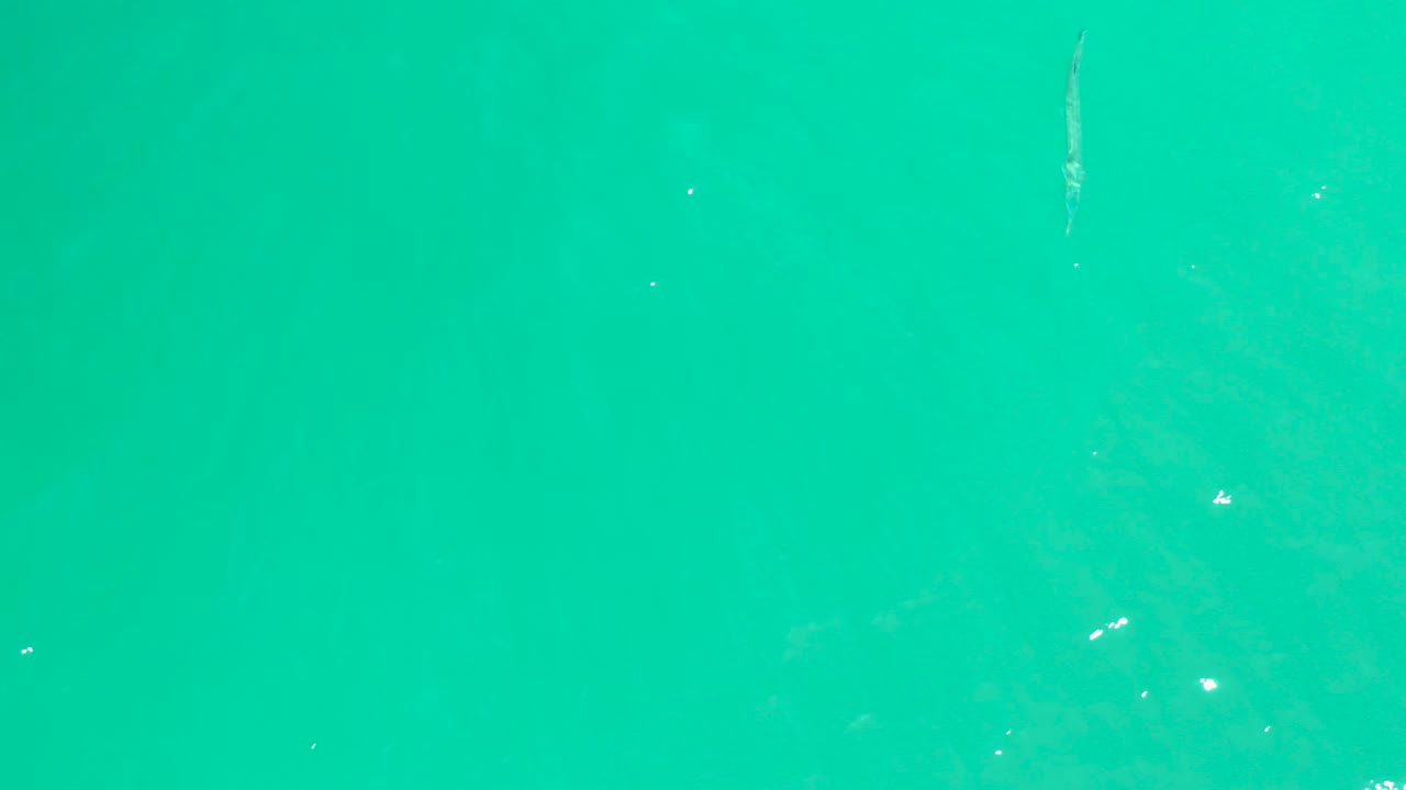 Turquoise water with a pale thin object near the left side.