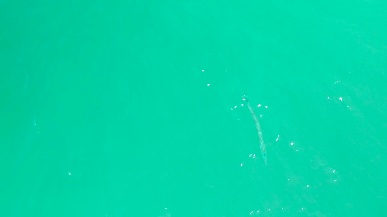 Overhead turquoise water at Dreams Los Cabos with the small fish visible below scattered white reflections and no visible people.