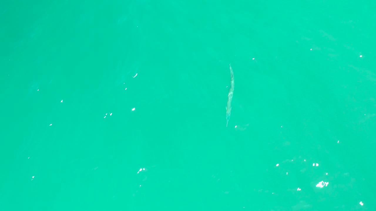 At 0:02, a narrow fish shape sits in open turquoise water near faint ripples and small white glints, with no shoreline or people visible.