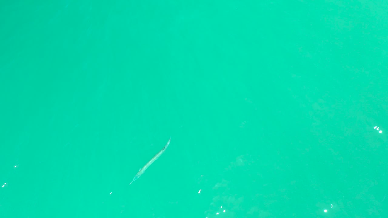 At Dreams Los Cabos in Baja California Sur, the small fish is visible on the left side of turquoise water, with bright specks and no visible people.