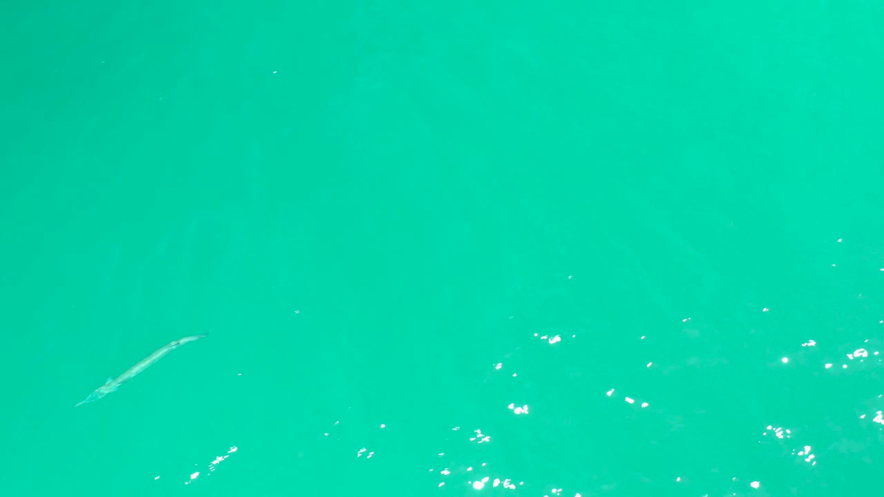 At 0:02, a slender fish sits high in the open turquoise frame at Dreams Los Cabos, with scattered white specks and no visible people.