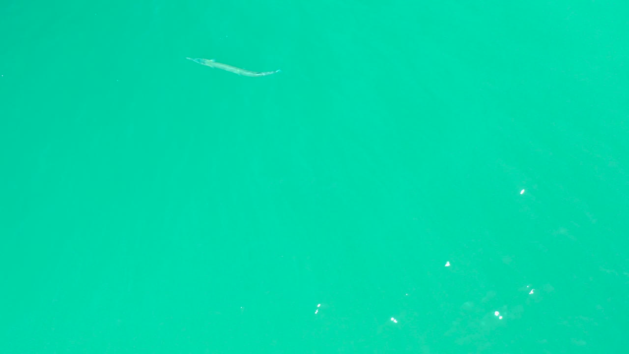 At Dreams Los Cabos in Baja California Sur, a small pale fish is visible near the upper part of bright turquoise water with soft surface texture and no visible people.