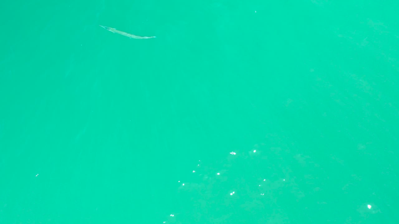 The fish remains near the upper area of the frame over turquoise water, while scattered bright highlights mark the moving surface and no people are visible.