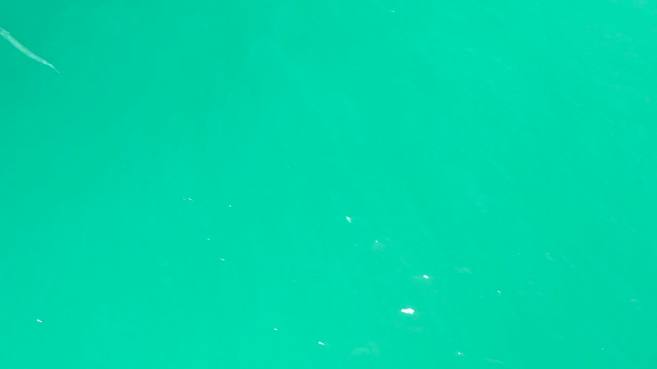 A slim fish sits near the top edge of the overhead turquoise water view at Dreams Los Cabos, with small white glints across the surface and no visible people.