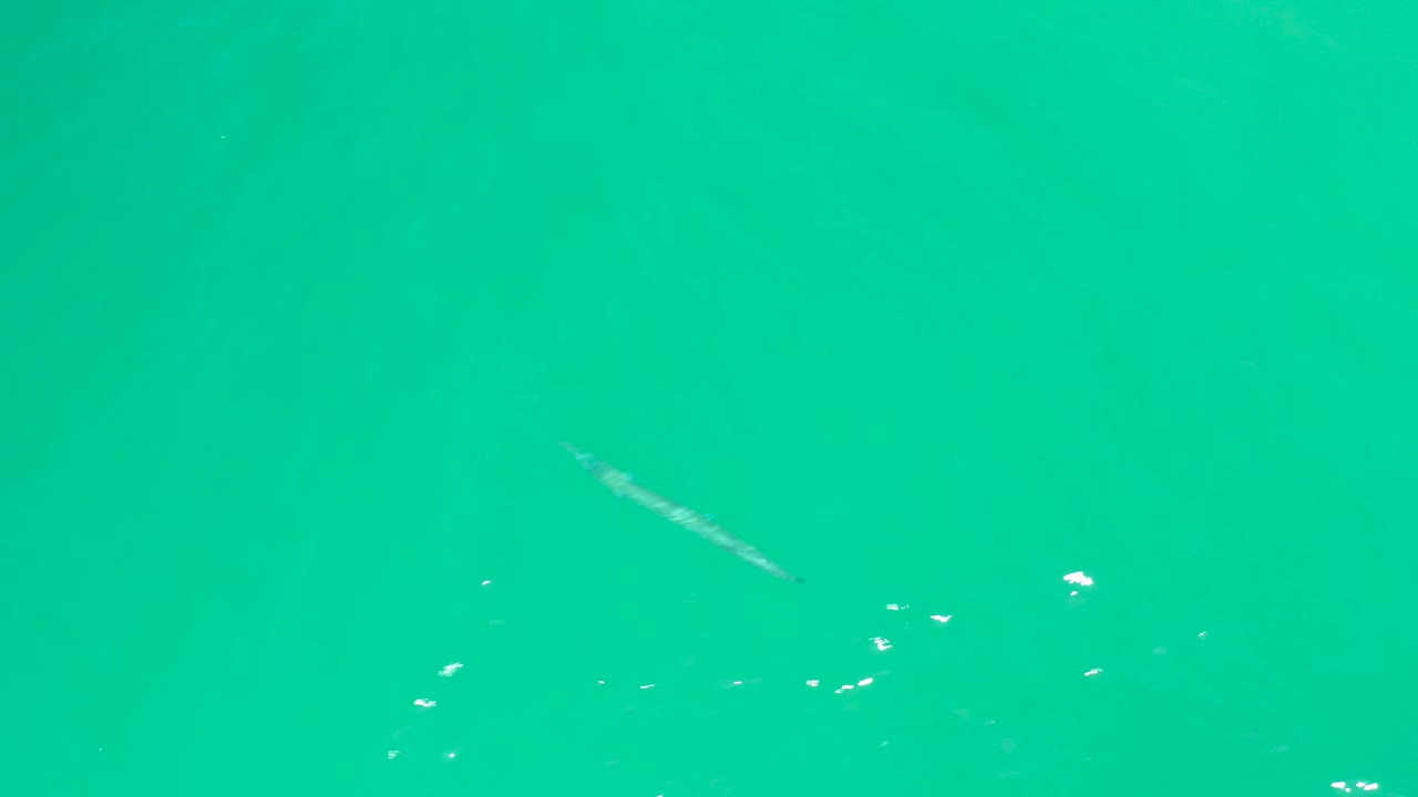 Turquoise water at Dreams Los Cabos fills the frame as a small fish sits left of center with scattered white glints and no visible people.