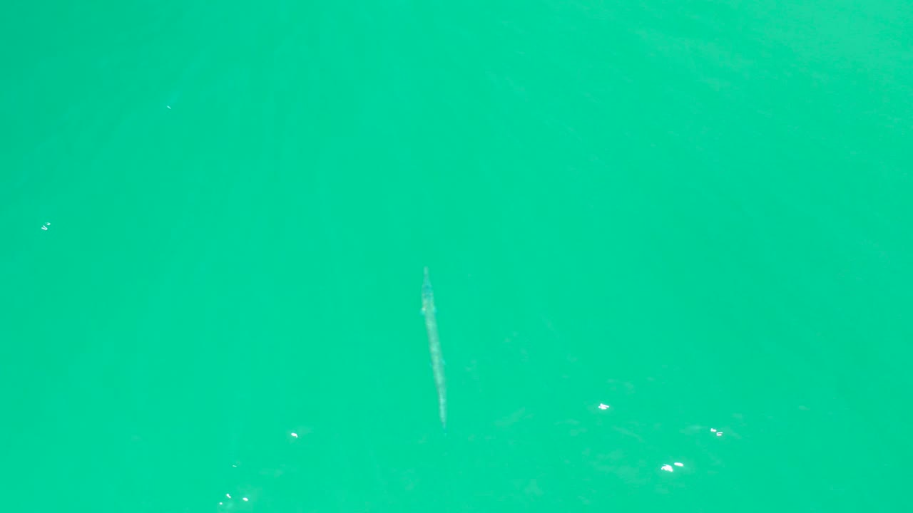 The fish appears closer to the center of a clear turquoise water frame at Dreams Los Cabos, with tiny bubbles and reflected highlights around it and no visible people.