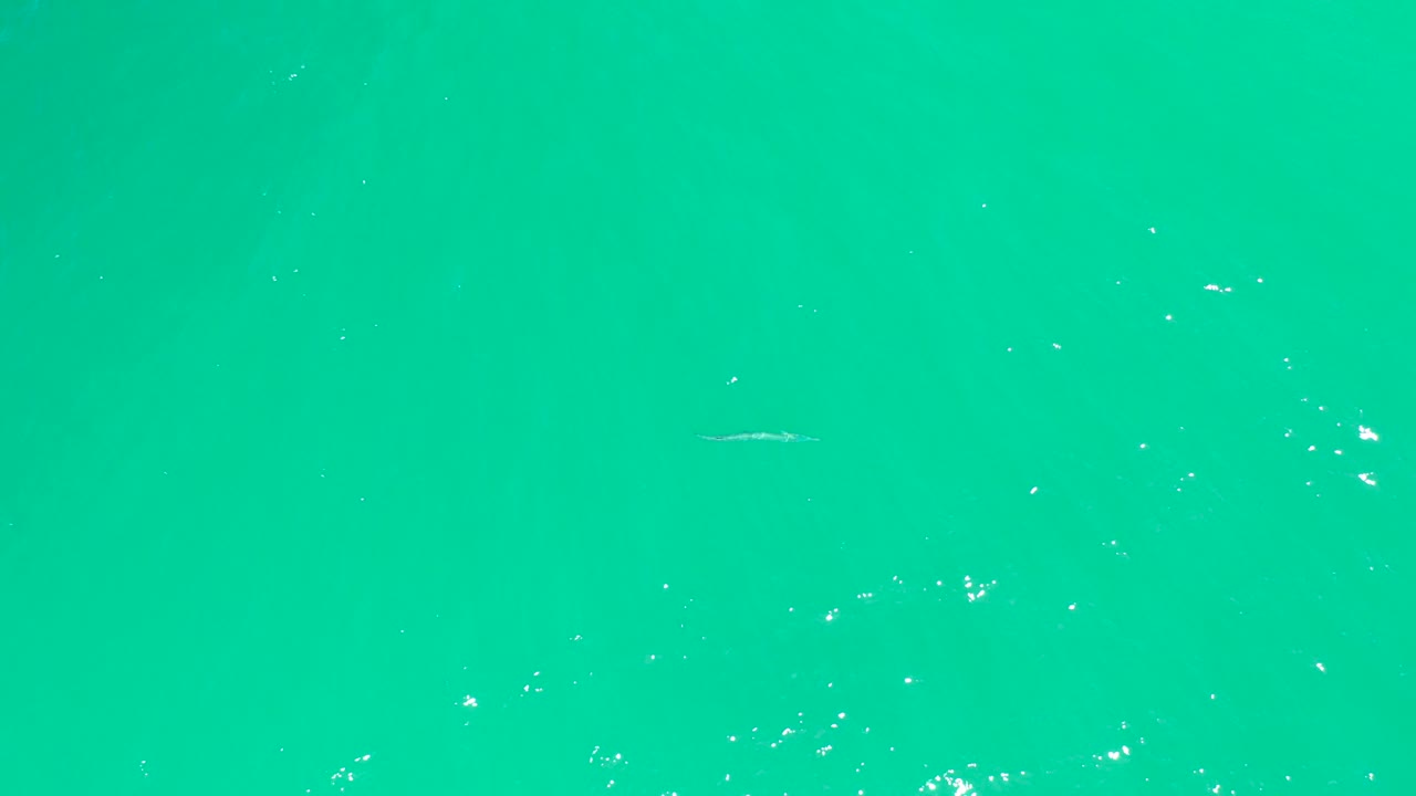 Clear turquoise water at Dreams Los Cabos with scattered bright surface flecks, faint underwater particles, and no visible people.