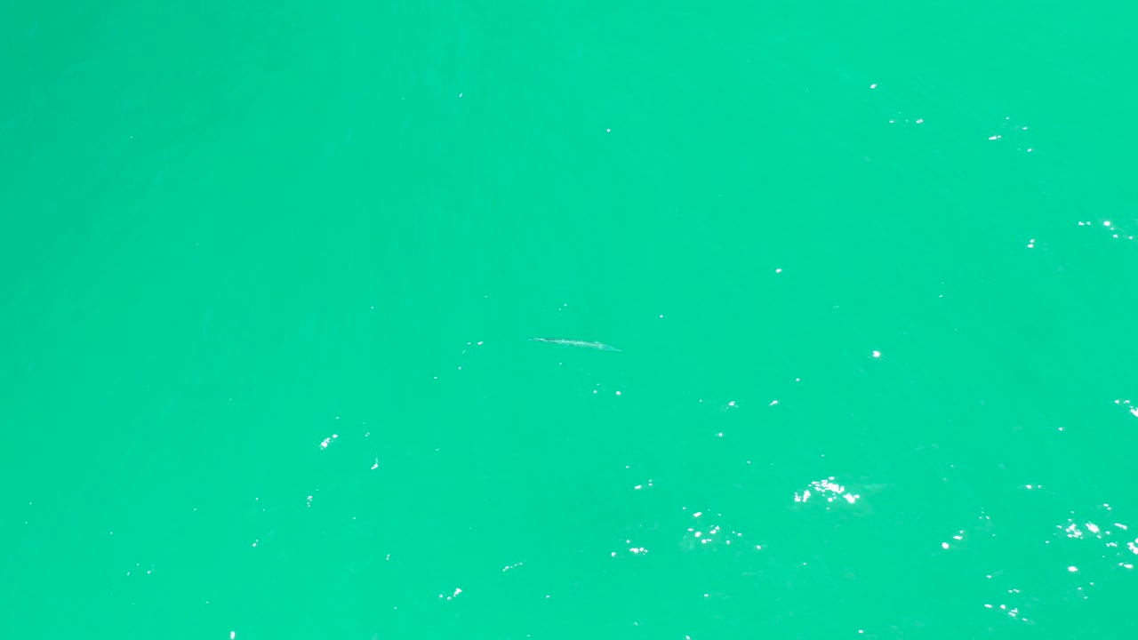 Turquoise water at Dreams Los Cabos shows a faint small fish shape, scattered white bubbles, and no visible people.