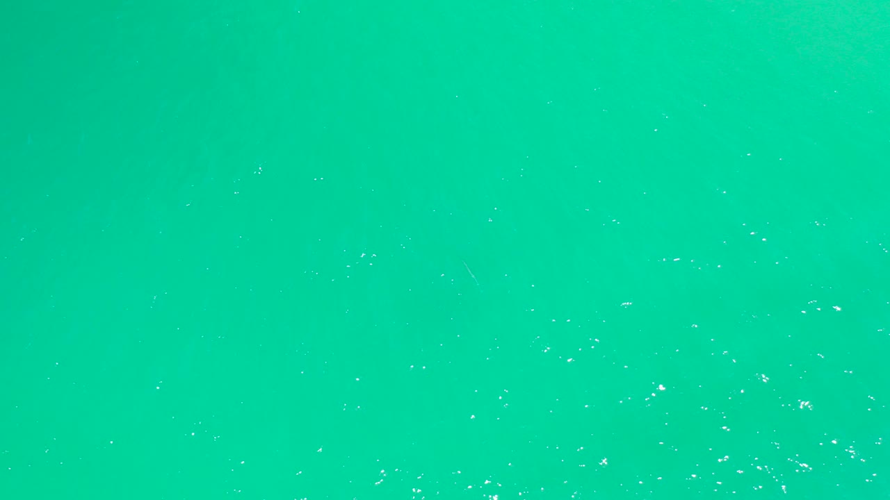 Turquoise ocean surface with scattered white foam flecks.