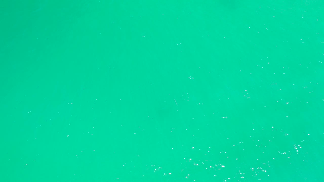 Overhead Dreams Los Cabos water surface with sparse white foam specks across a mostly uninterrupted turquoise field, no visible people.