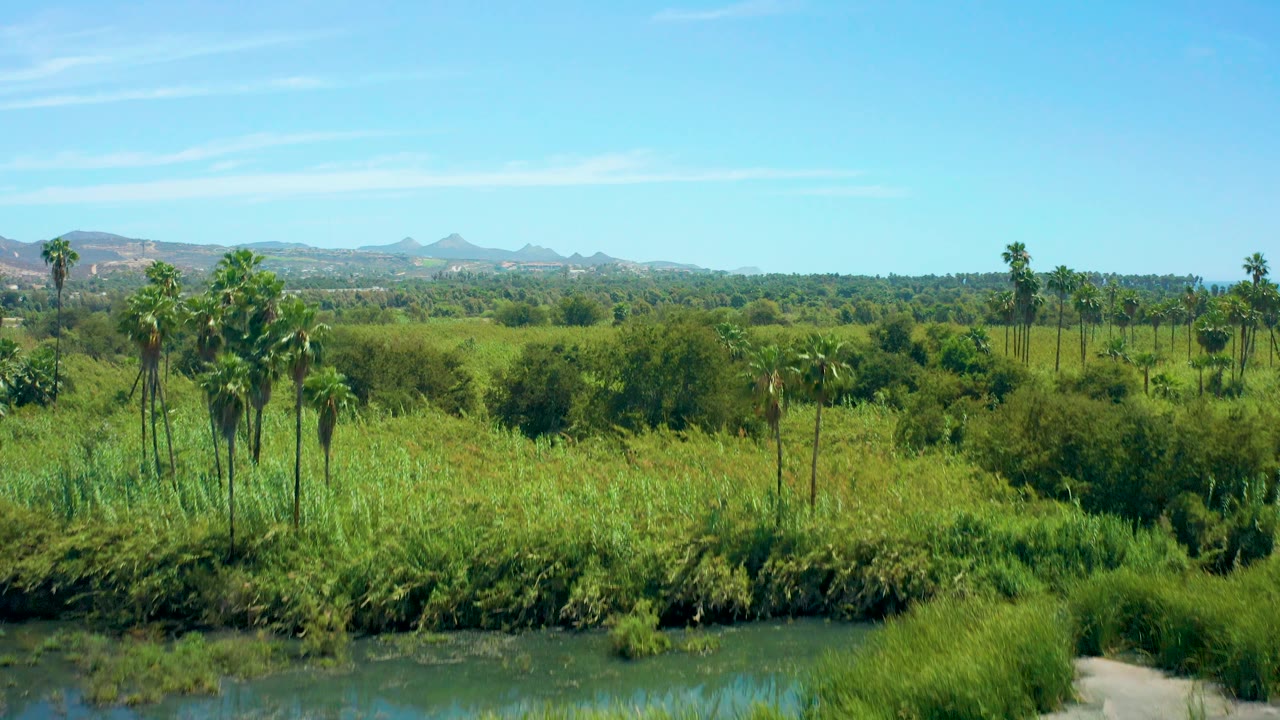 Wider view of palms, fields, river edge, distant hills, and blue sky.