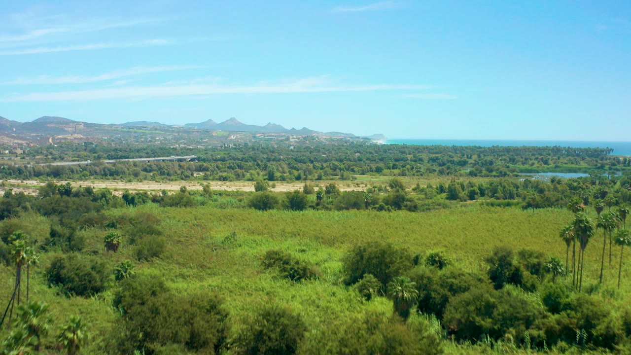Wide coastal plain with green fields, palms, distant mountains, and ocean