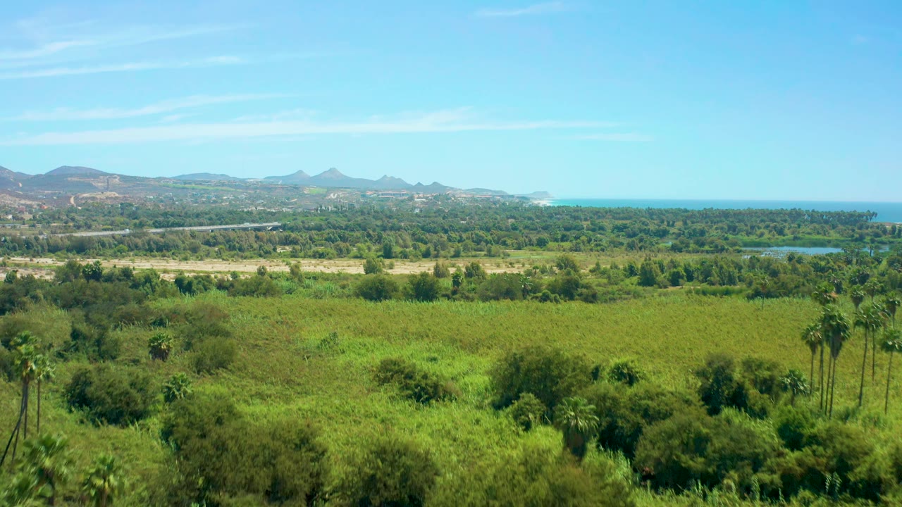 San Jose del Cabo landscape with tall palms near the foreground, broad green vegetation, a pale road line, small water areas, distant mountains, ocean, and no visible people.