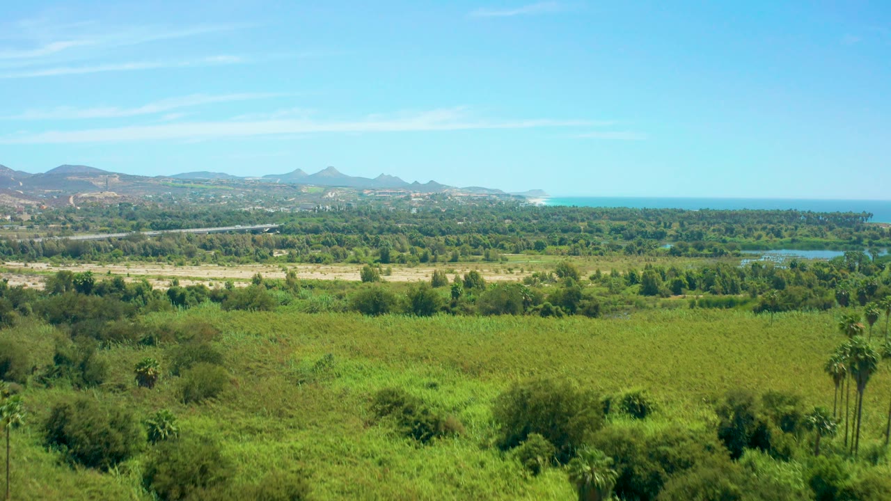 Elevated San Jose del Cabo view showing open green grassland in front, scattered trees, a road and blue water in the midground, mountains beyond, ocean at right, and no visible people.