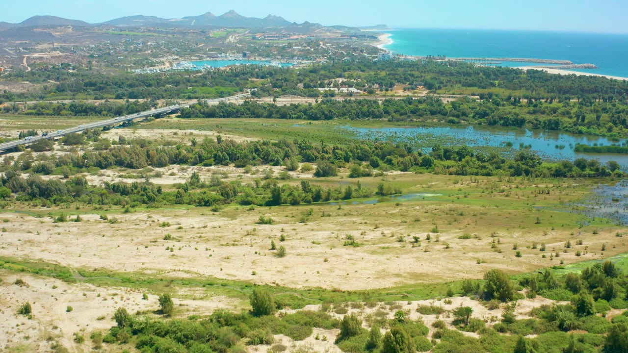 Aerial composition over San Jose del Cabo with the road and bridge more prominent at left, shallow blue water and dense green vegetation across the center, dunes in the lower frame, coastline at the top, and no visible people.