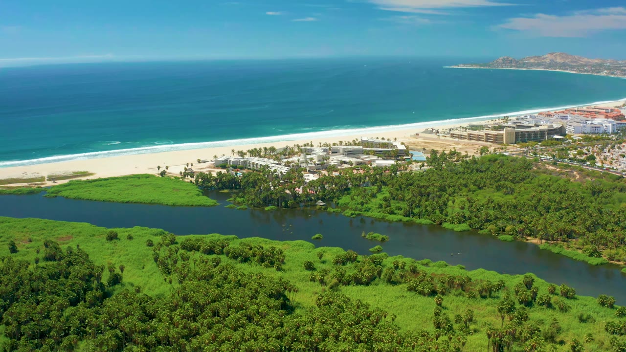 San Jose del Cabo coastal aerial with the lagoon and bright green wetland plants across the lower frame, white beach and blue ocean beyond, low buildings near shore, and no visible people.