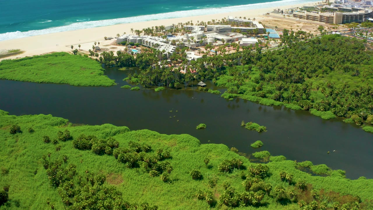 Aerial frame from San Jose del Cabo with the river running across the lower half, dense trees and palms in the middle, white beach and buildings above, ocean in the background, and no visible people.