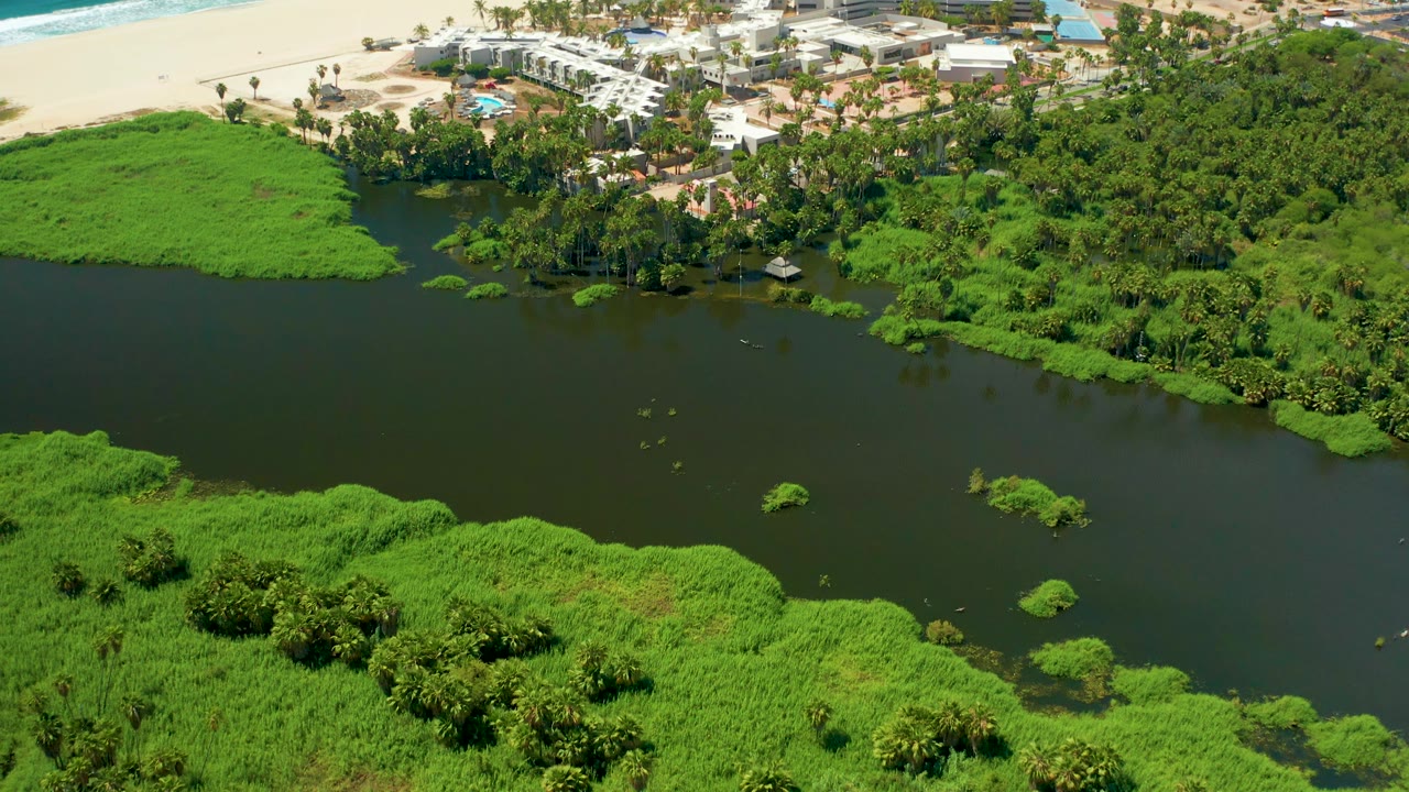 San Jose Del Cabo aerial frame showing a broad dark lagoon, floating patches of vegetation, dense green mangroves, resort buildings, beach sand, and no visible people.