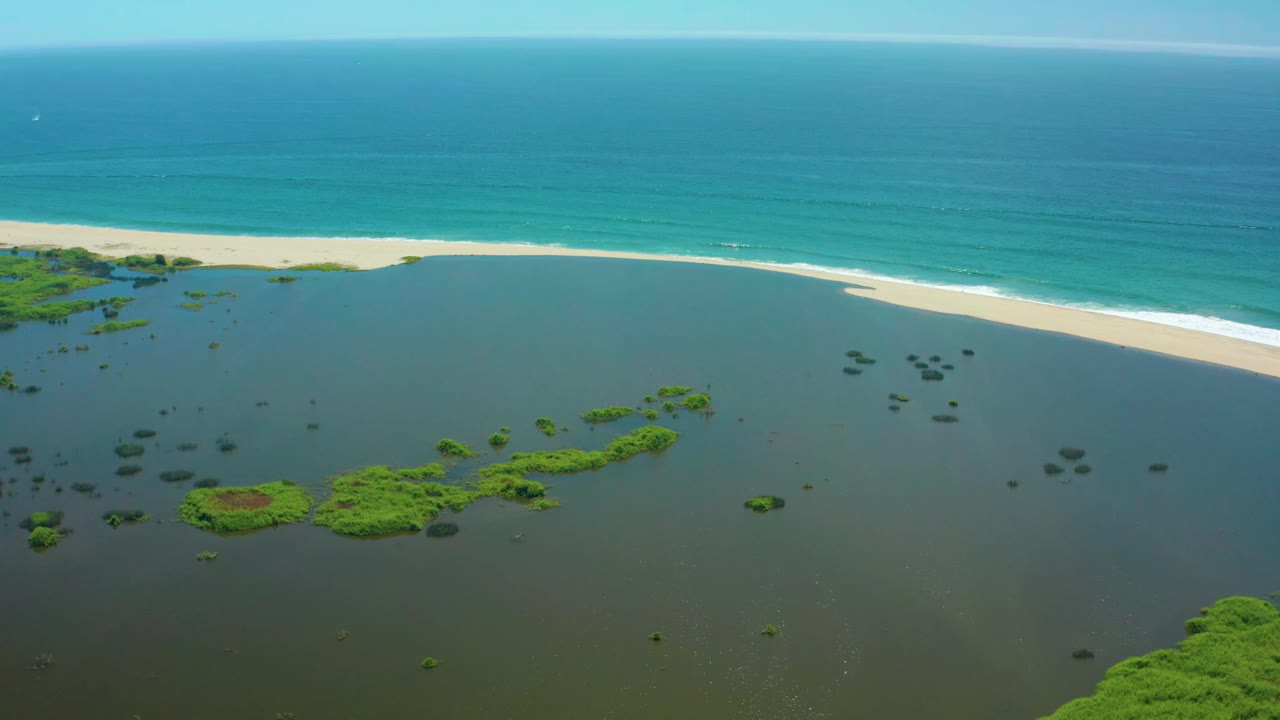 Lagoon vegetation below a sandy shoreline and blue ocean.