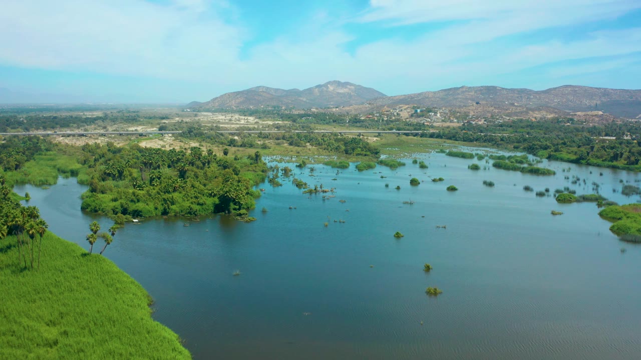 High aerial frame from San Jose del Cabo showing smooth water, clusters of low tree islands, green shoreline vegetation at the lower left, hazy hills in back, and no visible people.