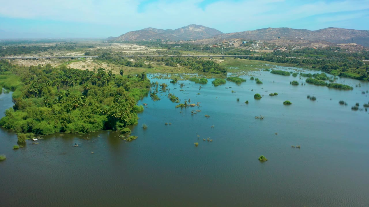 Aerial frame from San Jose del Cabo, Mexico, showing the edge of a dense green island beside broad river water, scattered submerged shrubs, low mountains, and no visible people.