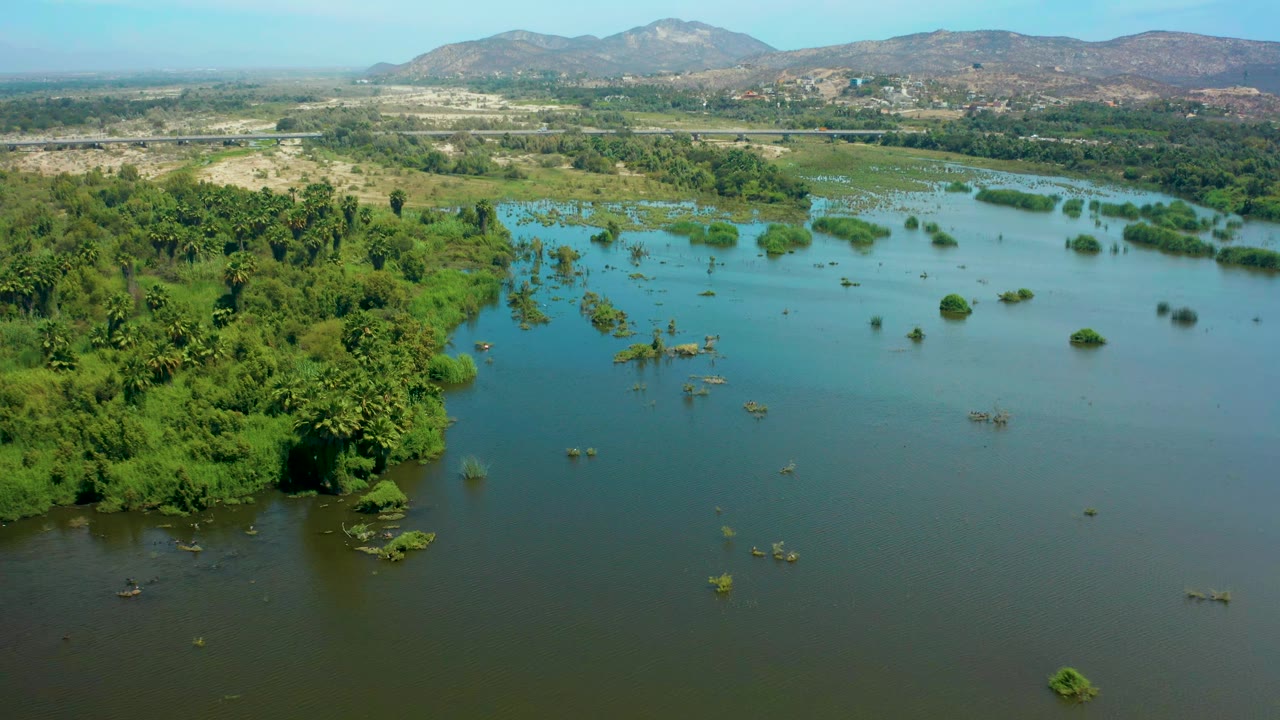 Aerial frame in San Jose Del Cabo showing calm floodwater with scattered shrubs, dense green vegetation along the left edge, pale dry ground beyond the water, and no visible people.