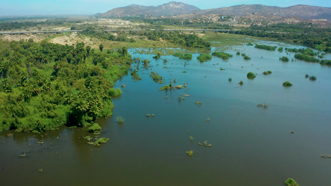 Wide San Jose Del Cabo aerial with a dark green tree mass on the left, open floodwater through the center, small vegetation clumps breaking the surface, and no visible people.